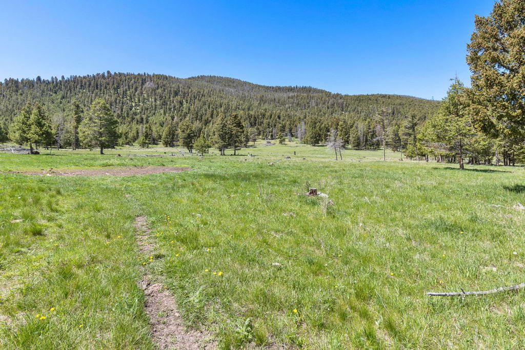 NHN N Fork Lower Willow Creek Road, Hall, MT 59837 photo 20