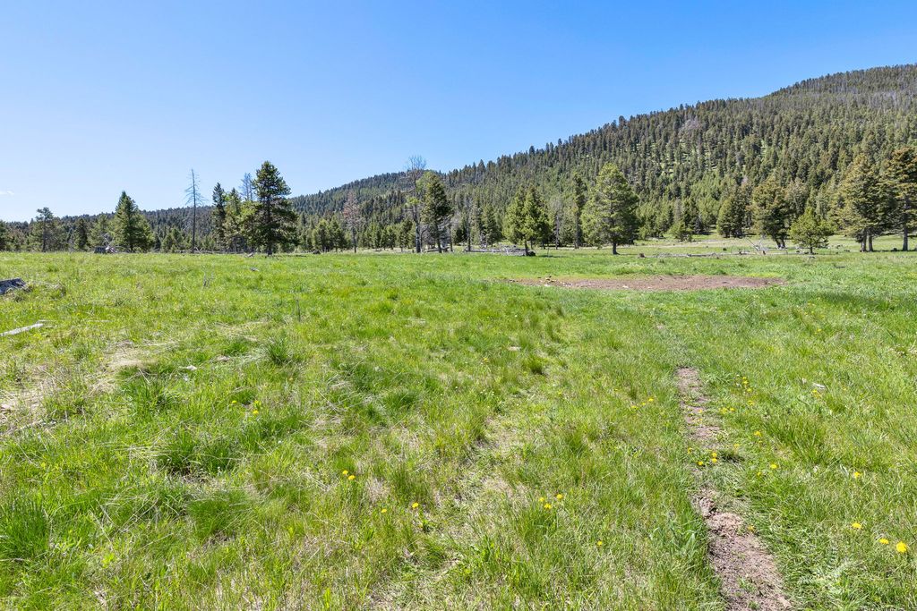 NHN N Fork Lower Willow Creek Road, Hall, MT 59837 photo 21