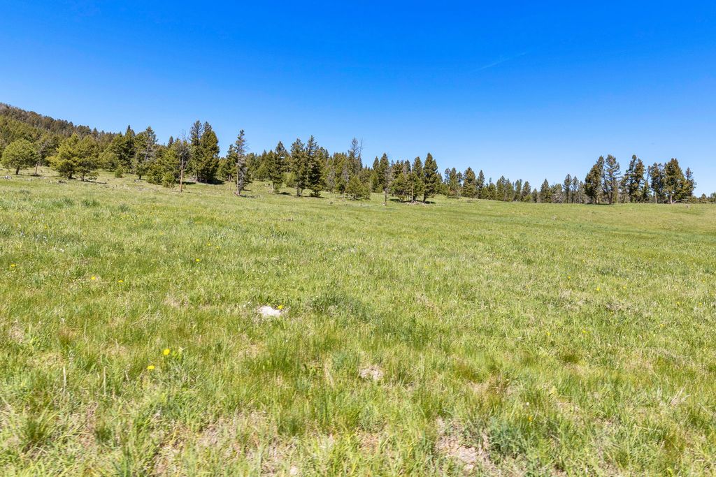 NHN N Fork Lower Willow Creek Road, Hall, MT 59837 photo 22