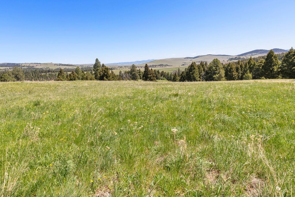 NHN N Fork Lower Willow Creek Road, Hall, MT 59837 photo 23