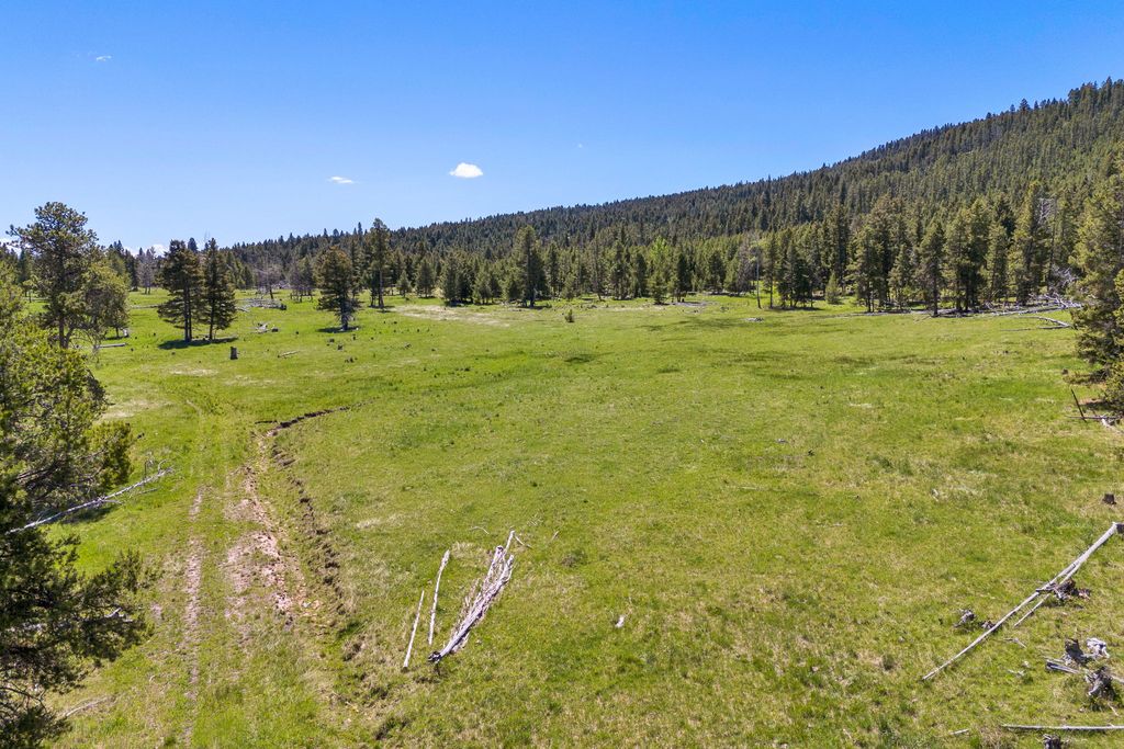 NHN N Fork Lower Willow Creek Road, Hall, MT 59837 photo 24