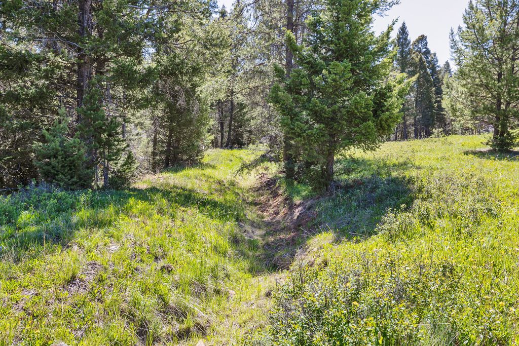 NHN N Fork Lower Willow Creek Road, Hall, MT 59837 photo 25