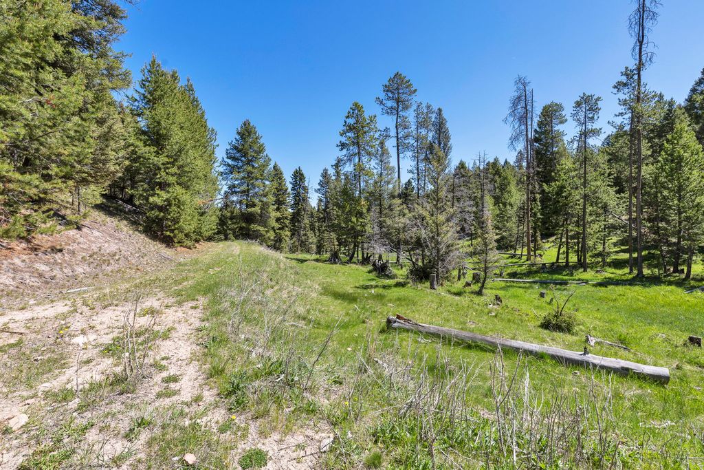 NHN N Fork Lower Willow Creek Road, Hall, MT 59837 photo 26