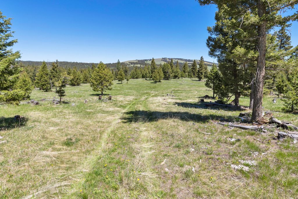 NHN N Fork Lower Willow Creek Road, Hall, MT 59837 photo 28