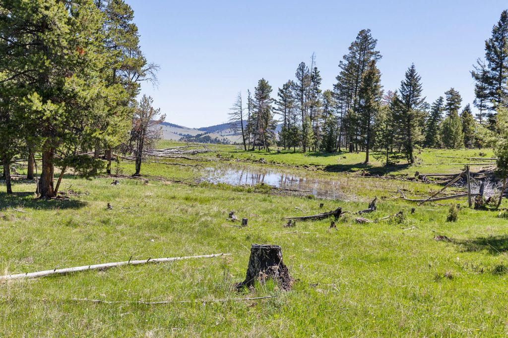 NHN N Fork Lower Willow Creek Road, Hall, MT 59837 photo 30