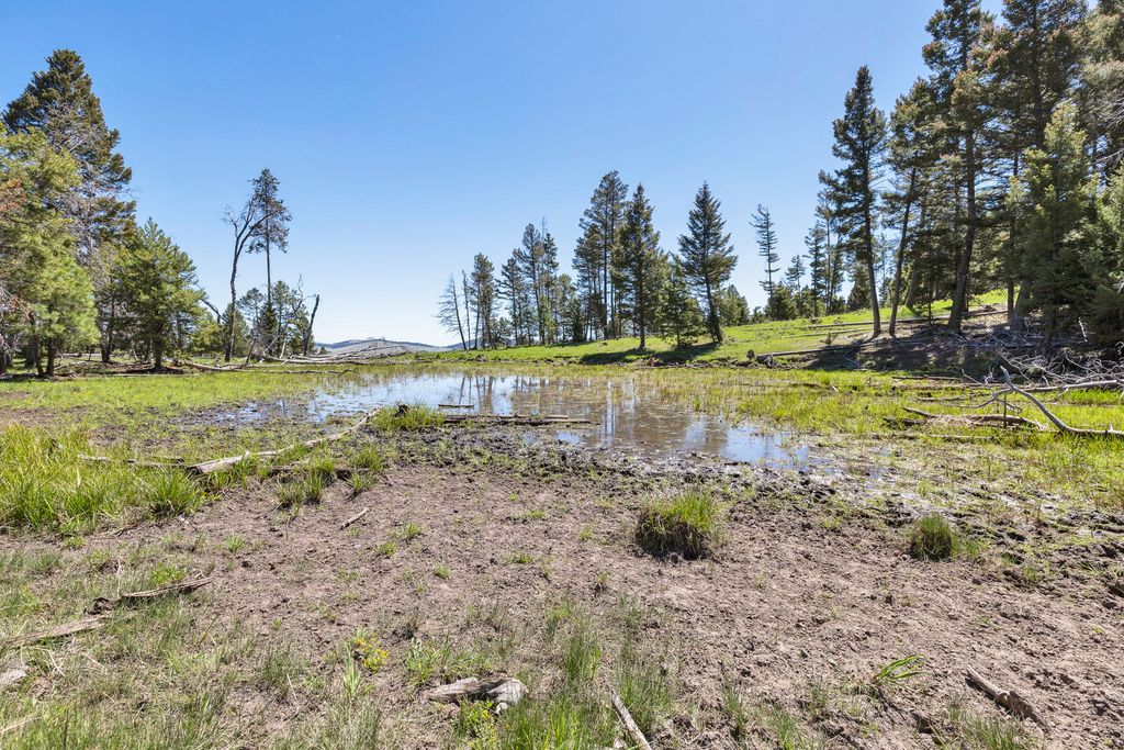 NHN N Fork Lower Willow Creek Road, Hall, MT 59837 photo 31
