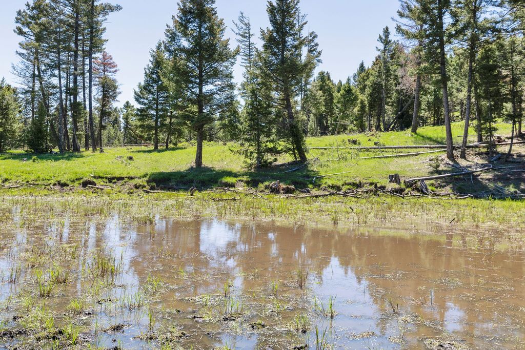 NHN N Fork Lower Willow Creek Road, Hall, MT 59837 photo 32