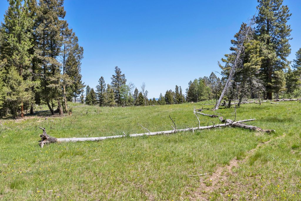 NHN N Fork Lower Willow Creek Road, Hall, MT 59837 photo 33