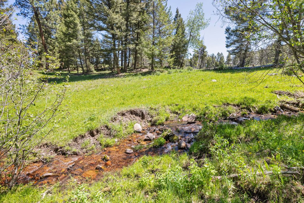 NHN N Fork Lower Willow Creek Road, Hall, MT 59837 photo 35