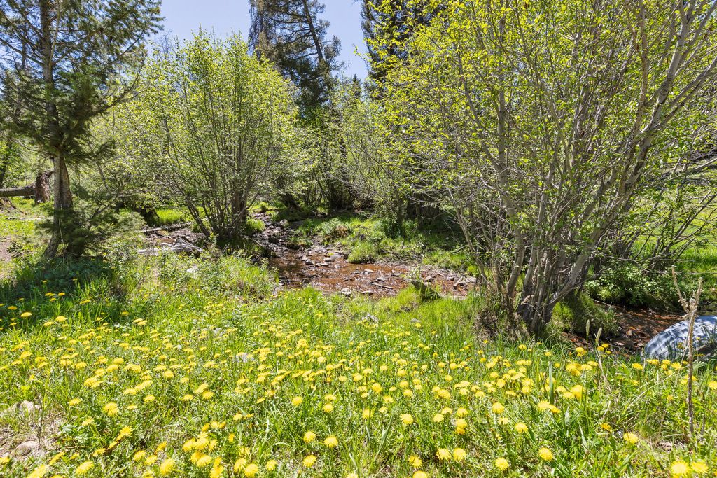 NHN N Fork Lower Willow Creek Road, Hall, MT 59837 photo 36