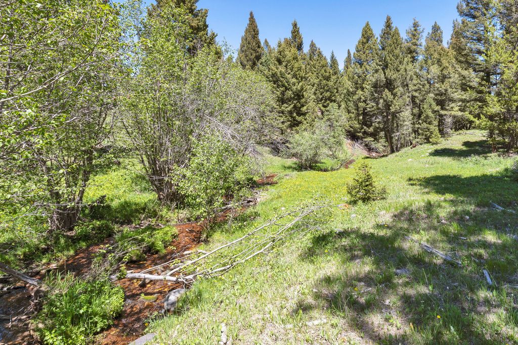 NHN N Fork Lower Willow Creek Road, Hall, MT 59837 photo 37