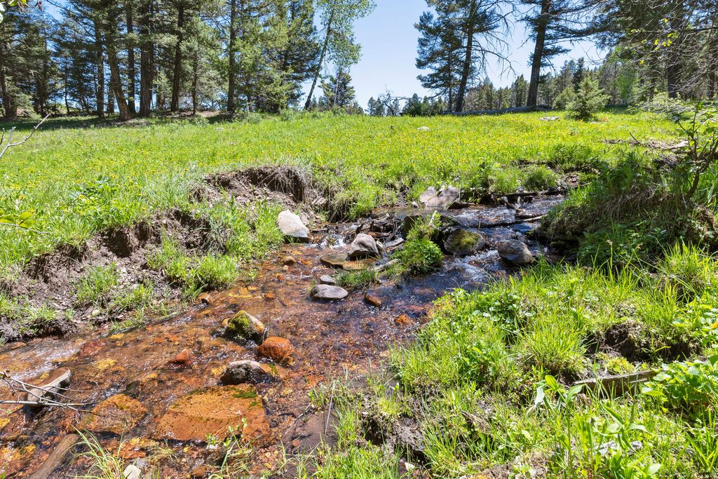 NHN N Fork Lower Willow Creek Road, Hall, MT 59837 photo 4