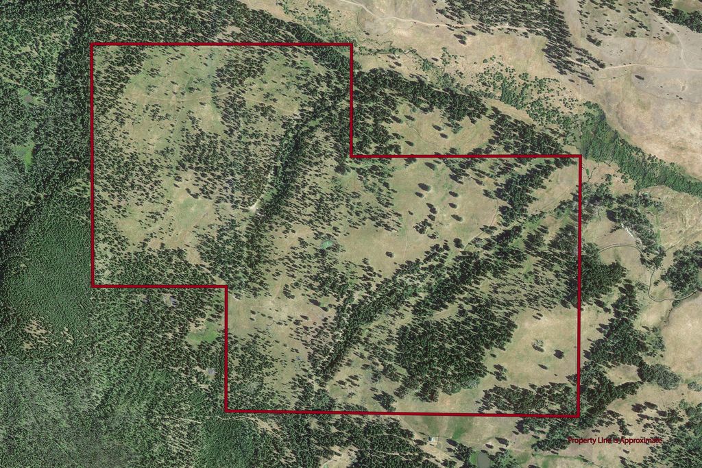 NHN N Fork Lower Willow Creek Road, Hall, MT 59837 photo 42