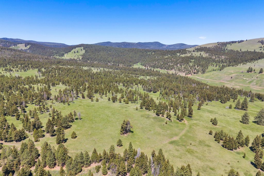 NHN N Fork Lower Willow Creek Road, Hall, MT 59837 photo 5