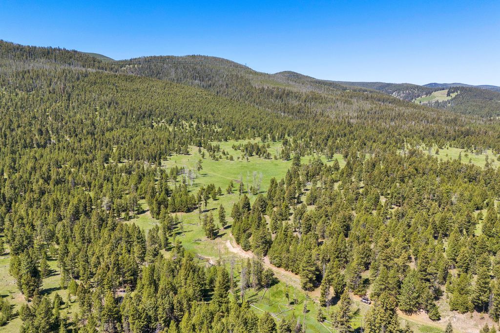 NHN N Fork Lower Willow Creek Road, Hall, MT 59837 photo 6