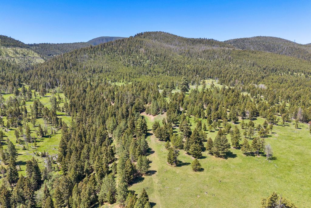 NHN N Fork Lower Willow Creek Road, Hall, MT 59837 photo 7