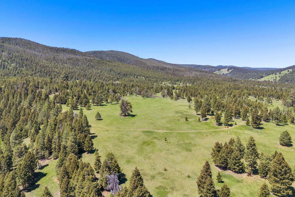 NHN N Fork Lower Willow Creek Road, Hall, MT 59837 photo 8