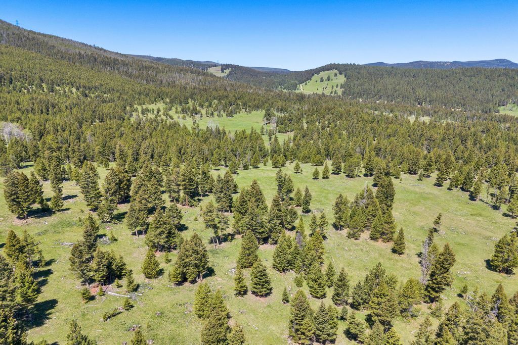 NHN N Fork Lower Willow Creek Road, Hall, MT 59837 photo 9