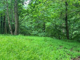 Lot 59 Timberwalk Drive, Ellijay, GA 30540