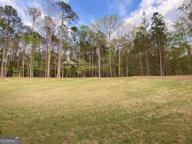 LOT 198 NORTHSHORE AT REDWINE Drive, Newnan, GA 30263