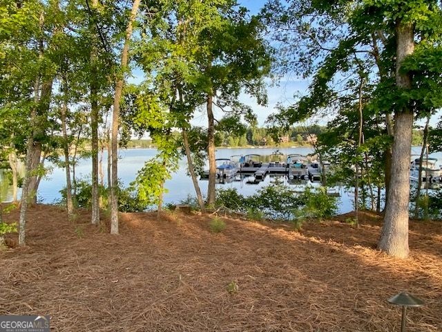 LOT 198 NORTHSHORE AT REDWINE Drive, Newnan, GA 30263