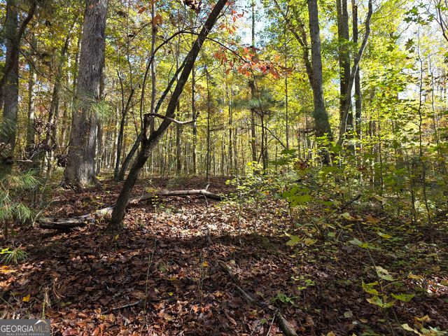 5548 Jacksonville Road, Buchanan, GA 30113