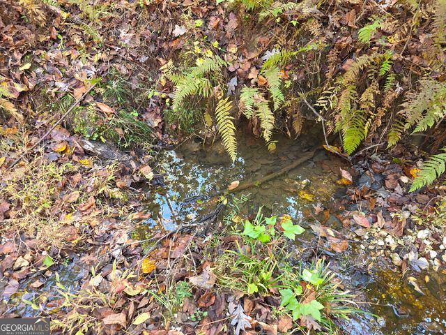 5548 Jacksonville Road, Buchanan, GA 30113