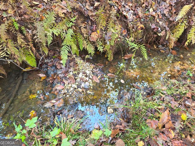 5548 Jacksonville Road, Buchanan, GA 30113