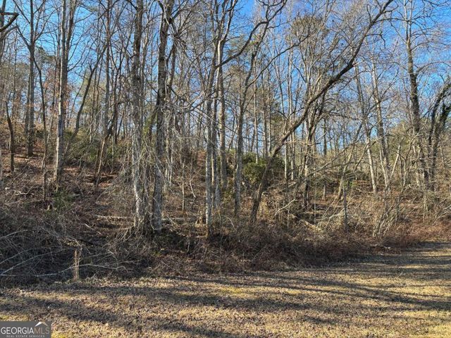 LOT 18 Brasstown Trails, Warne, NC 28909