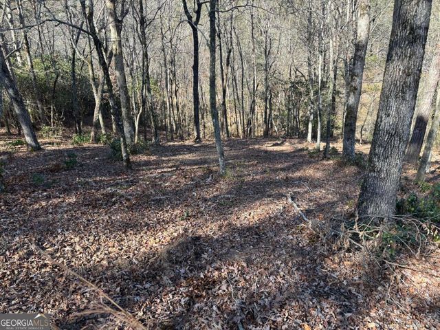 LOT 18 Brasstown Trails, Warne, NC 28909