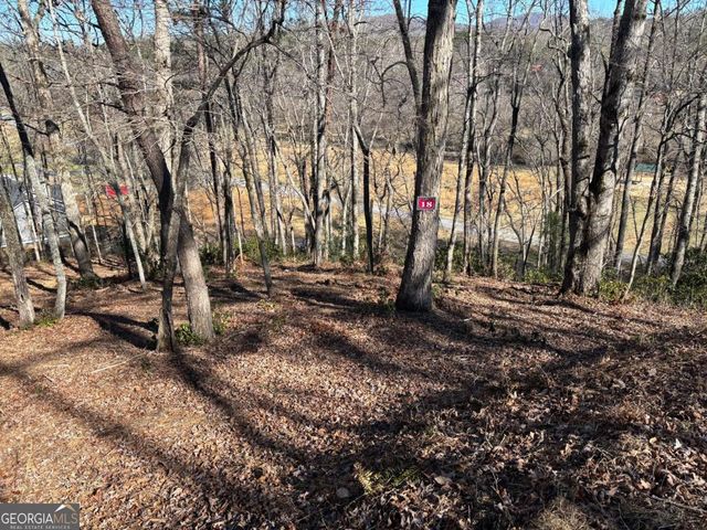 LOT 18 Brasstown Trails, Warne, NC 28909