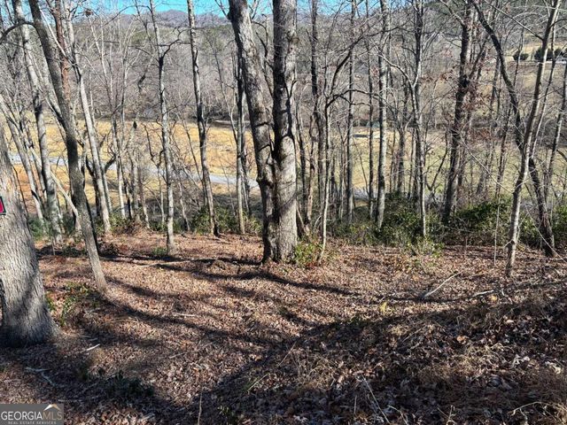 LOT 18 Brasstown Trails, Warne, NC 28909