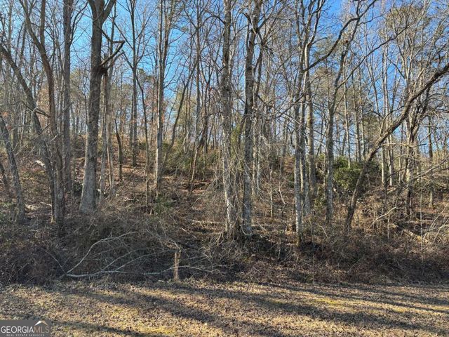 LOT 18 Brasstown Trails, Warne, NC 28909