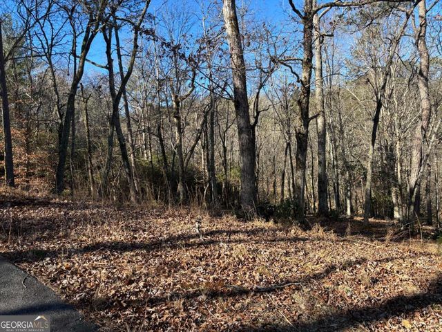 LOT 18 Brasstown Trails, Warne, NC 28909