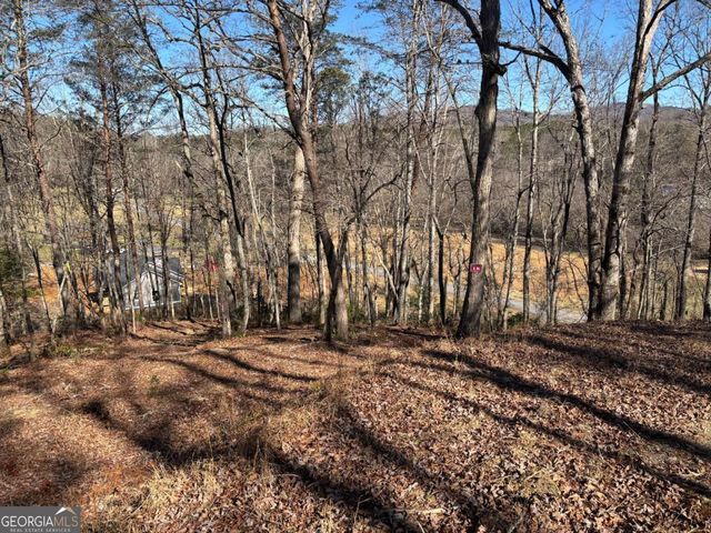 LOT 18 Brasstown Trails, Warne, NC 28909