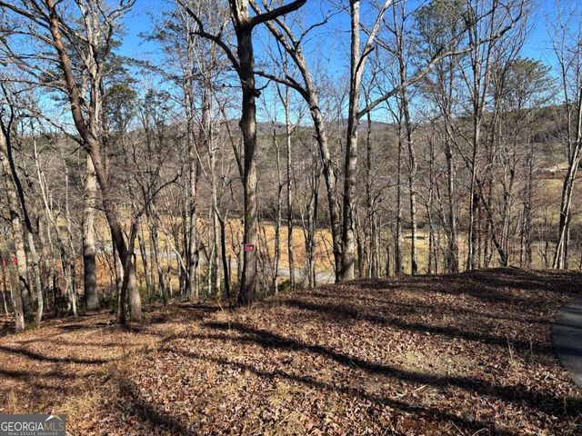 LOT 18 Brasstown Trails, Warne, NC 28909