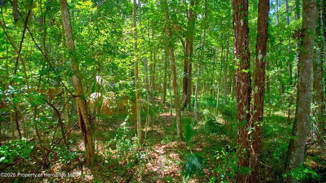 0 Oak Street, Brooksville, FL 34601