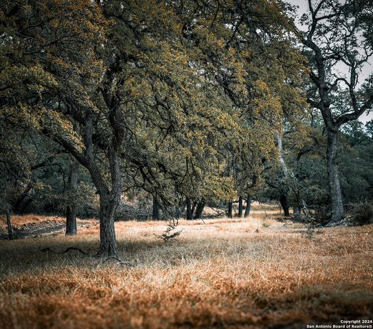 85 Waring Welfare, Boerne, TX 78006