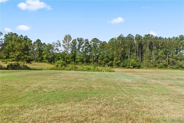 11453 Cedar Glades, Vance, AL 35490