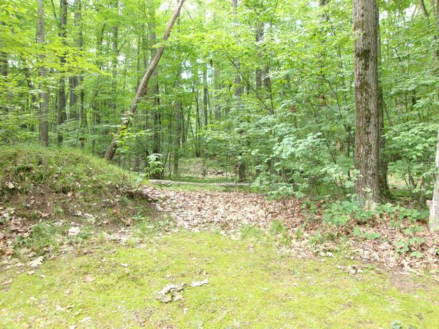 742 Bungo Lake Road, Harrison, MI 48625