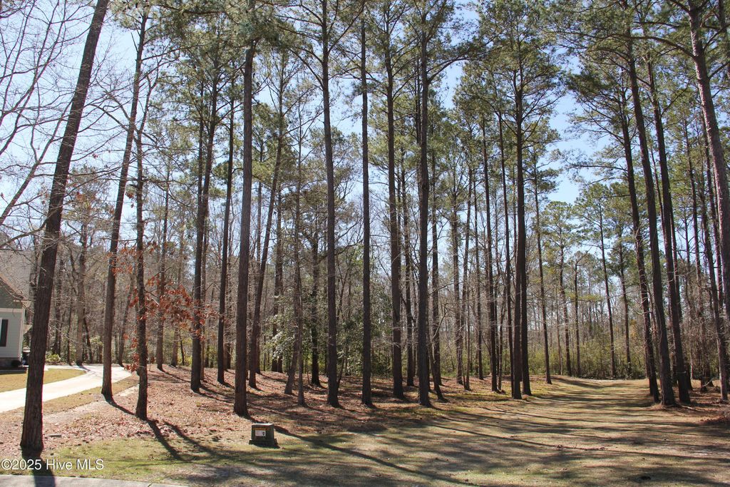 487 Hearthside Drive, Bolivia, NC 28422