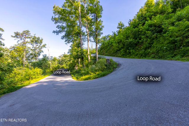 Loop Rd, Gatlinburg, TN 37738