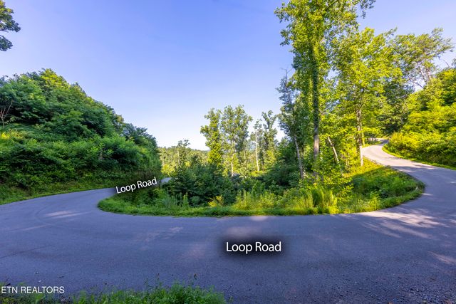 Loop Rd, Gatlinburg, TN 37738