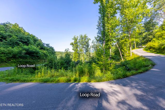 Loop Rd, Gatlinburg, TN 37738
