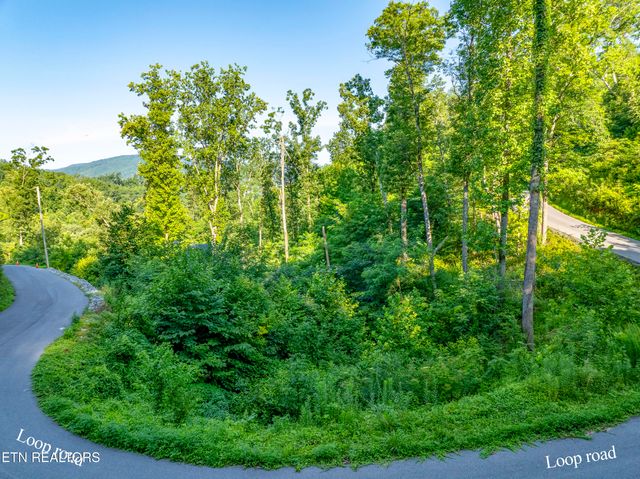Loop Rd, Gatlinburg, TN 37738