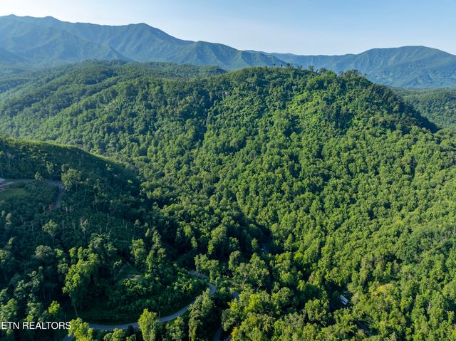 Loop Rd, Gatlinburg, TN 37738