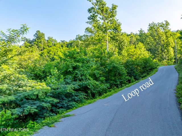 Loop Rd, Gatlinburg, TN 37738
