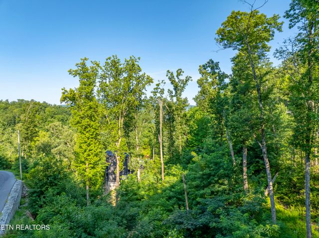 Loop Rd, Gatlinburg, TN 37738