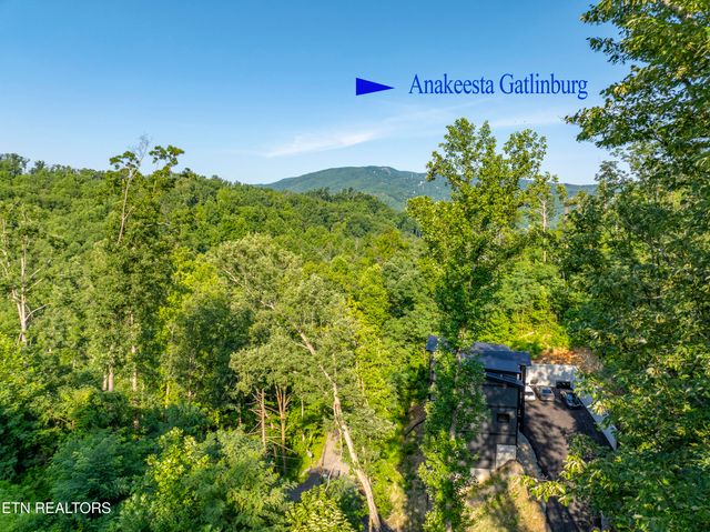 Loop Rd, Gatlinburg, TN 37738