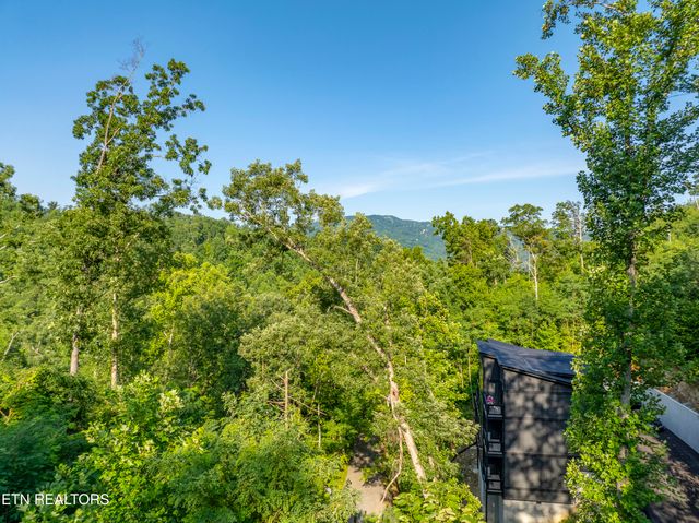 Loop Rd, Gatlinburg, TN 37738